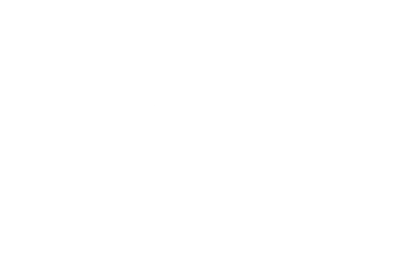 BAC Security